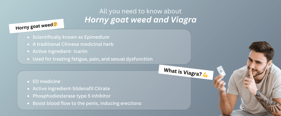 horny goat weed and Viagra
