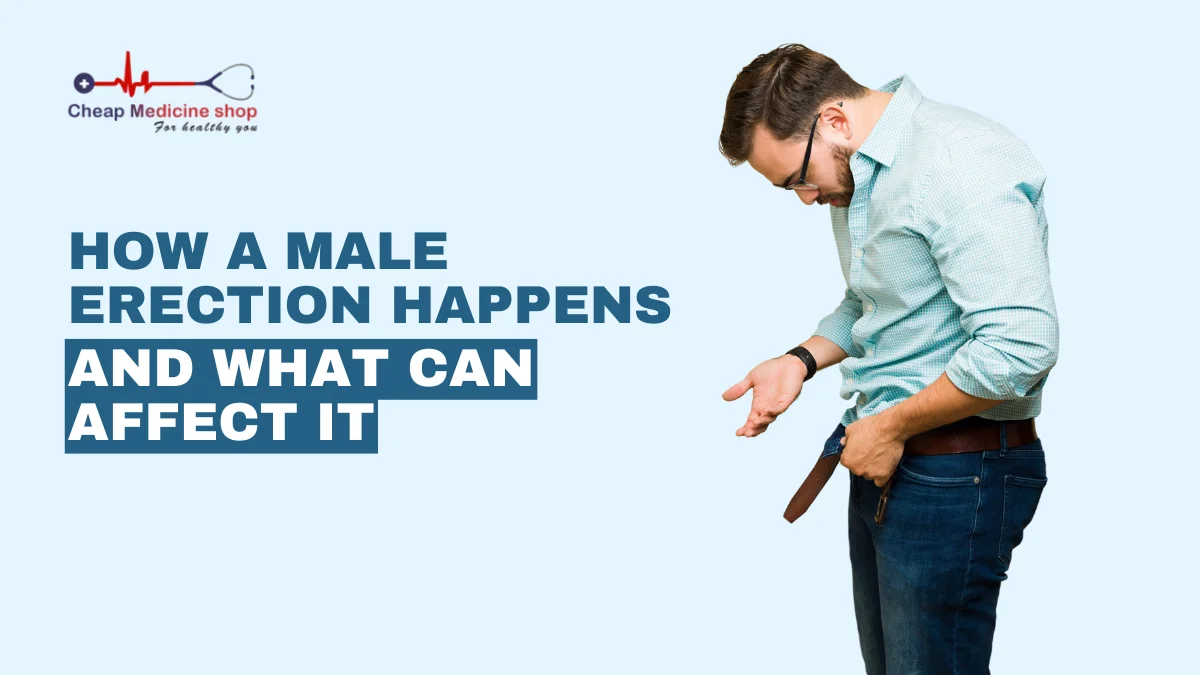How a Male Erection Happens and What Can Affect It
