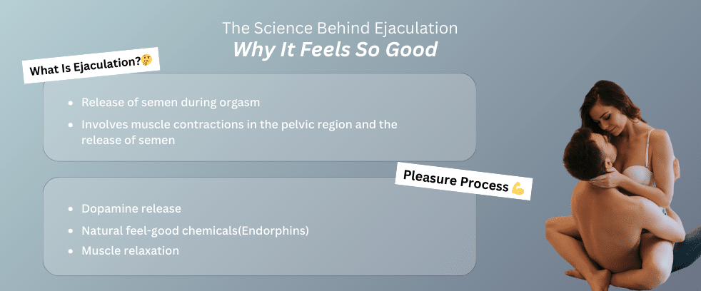 What Is Ejaculation
