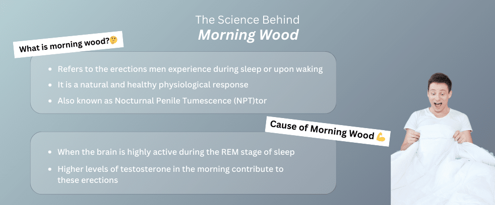 What is morning wood?