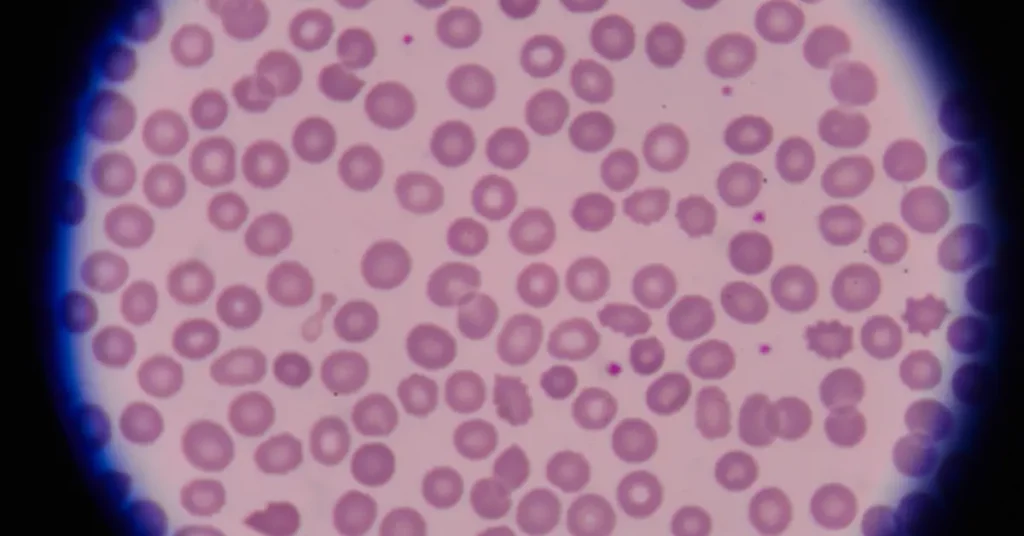 Blood count