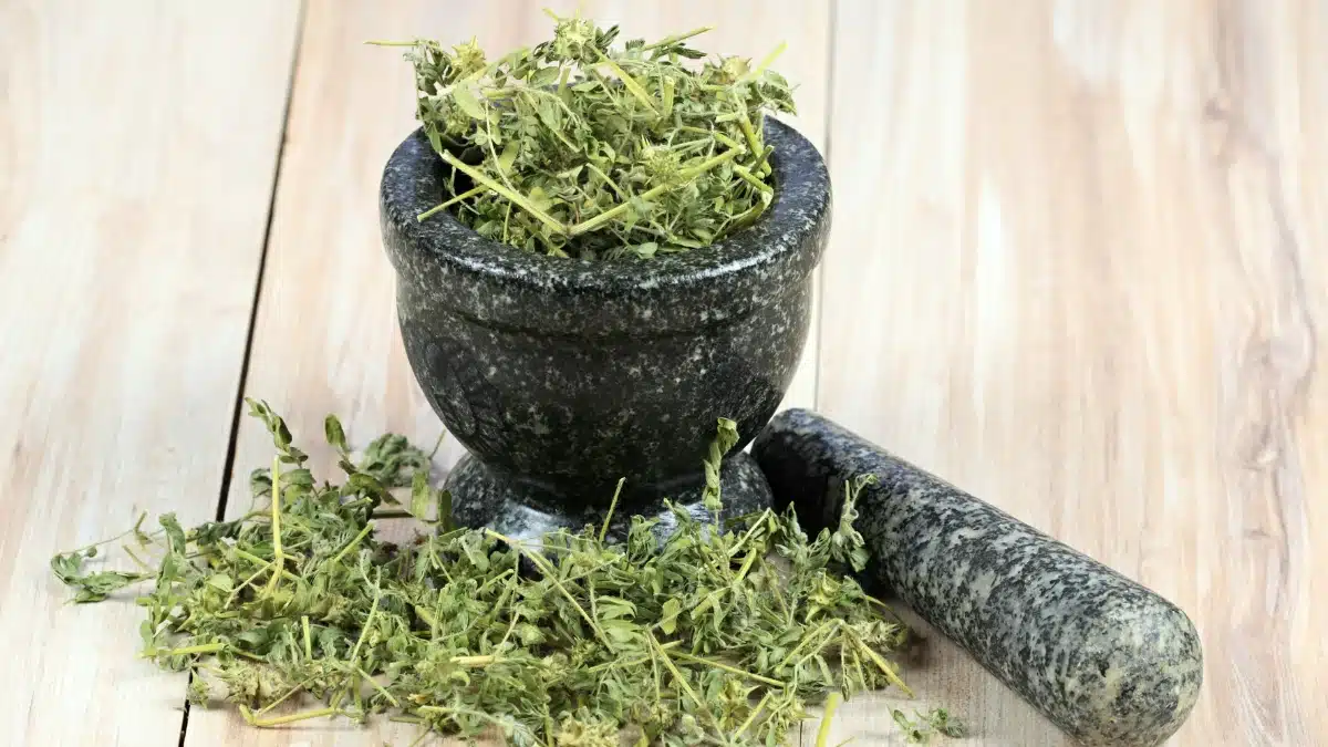 is there a natural herb for erectile dysfunction