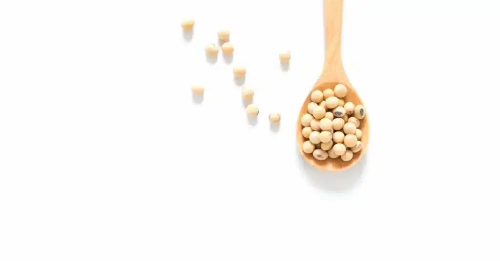 Soybeans in spoon with white background