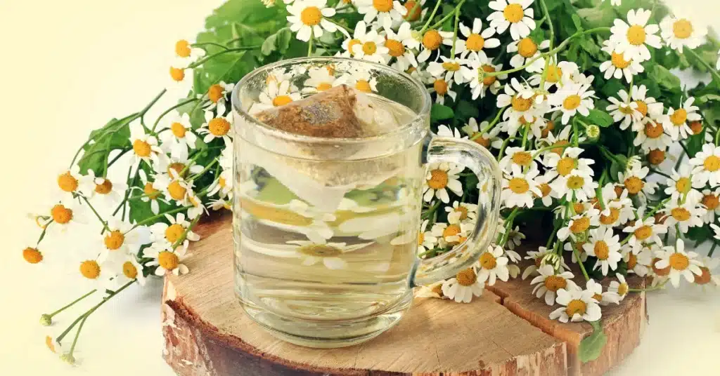 Chamomile tea bags (used to treat pink eye)