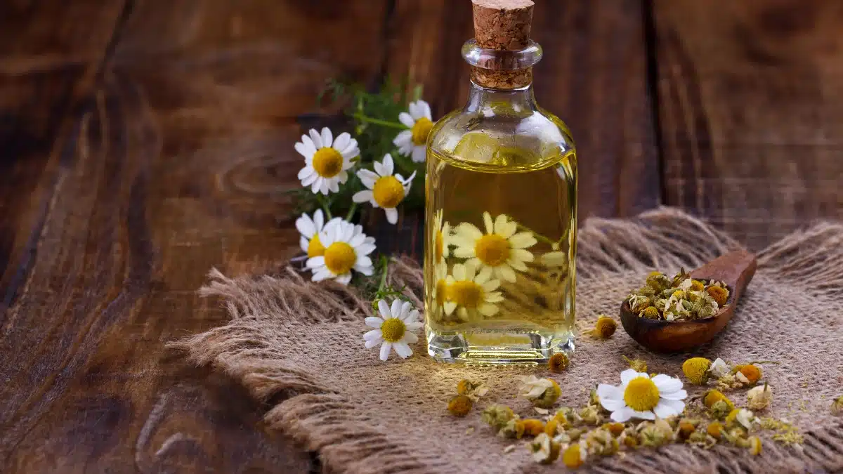 essential oils for pink eye