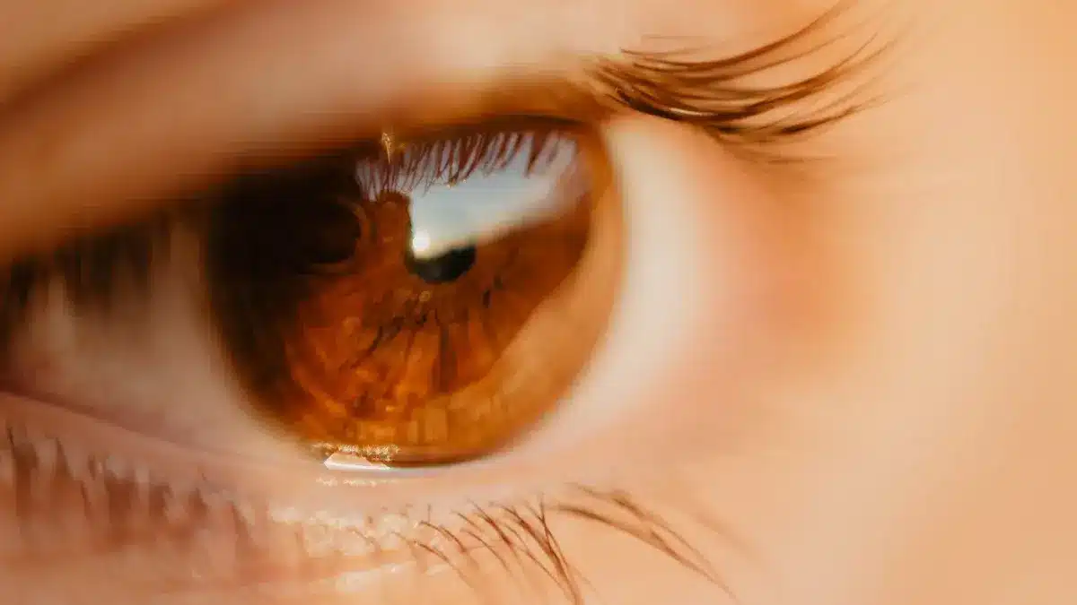 punctate keratitis