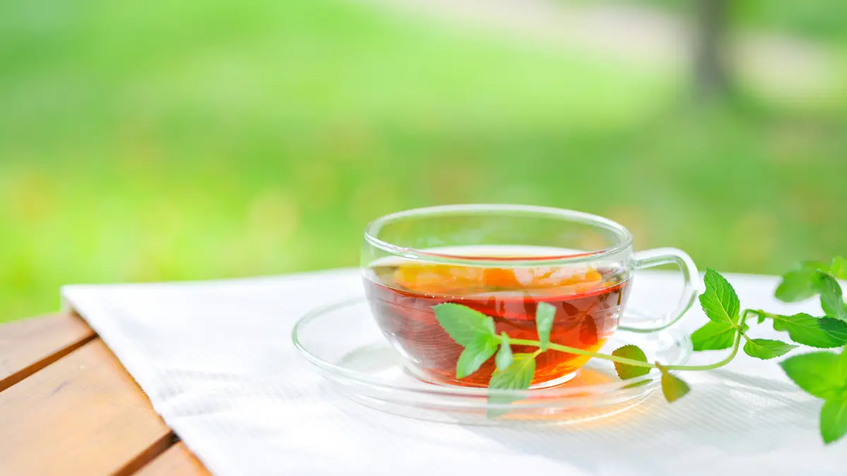 spearmint tea for pcos