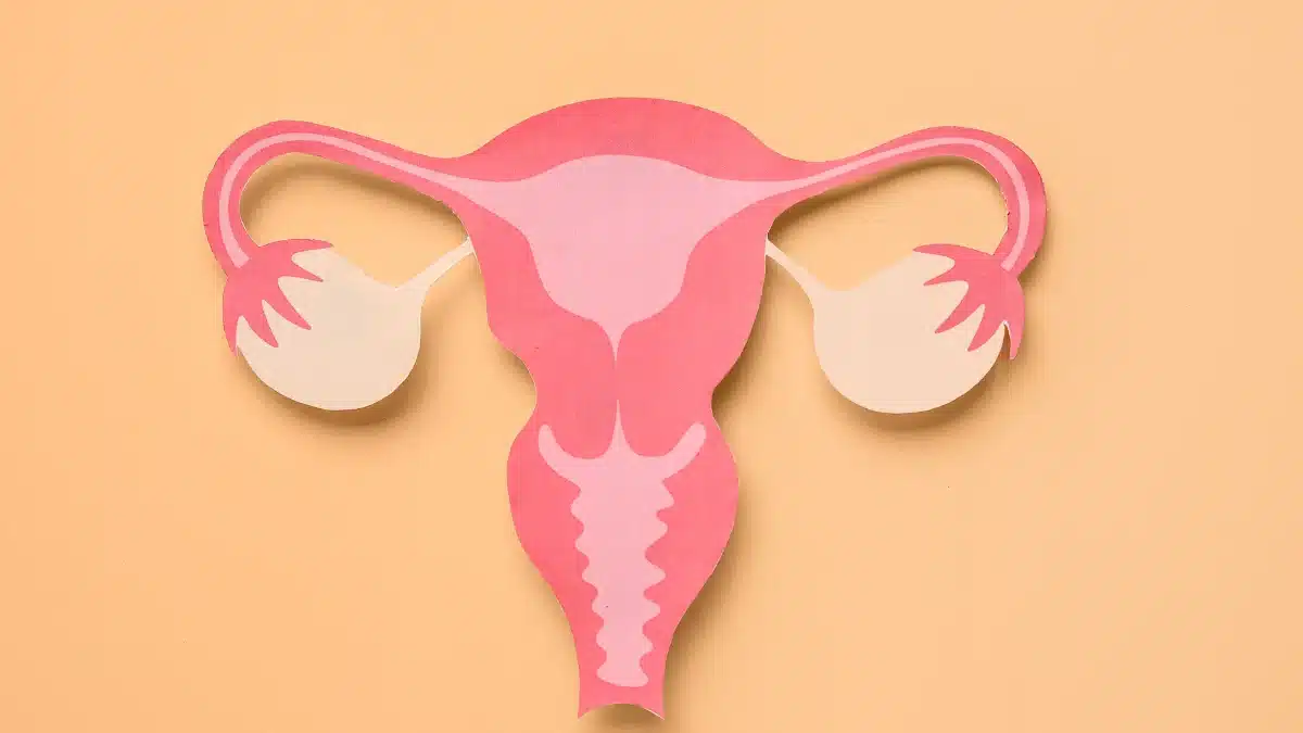 perimenopause and fibroids
