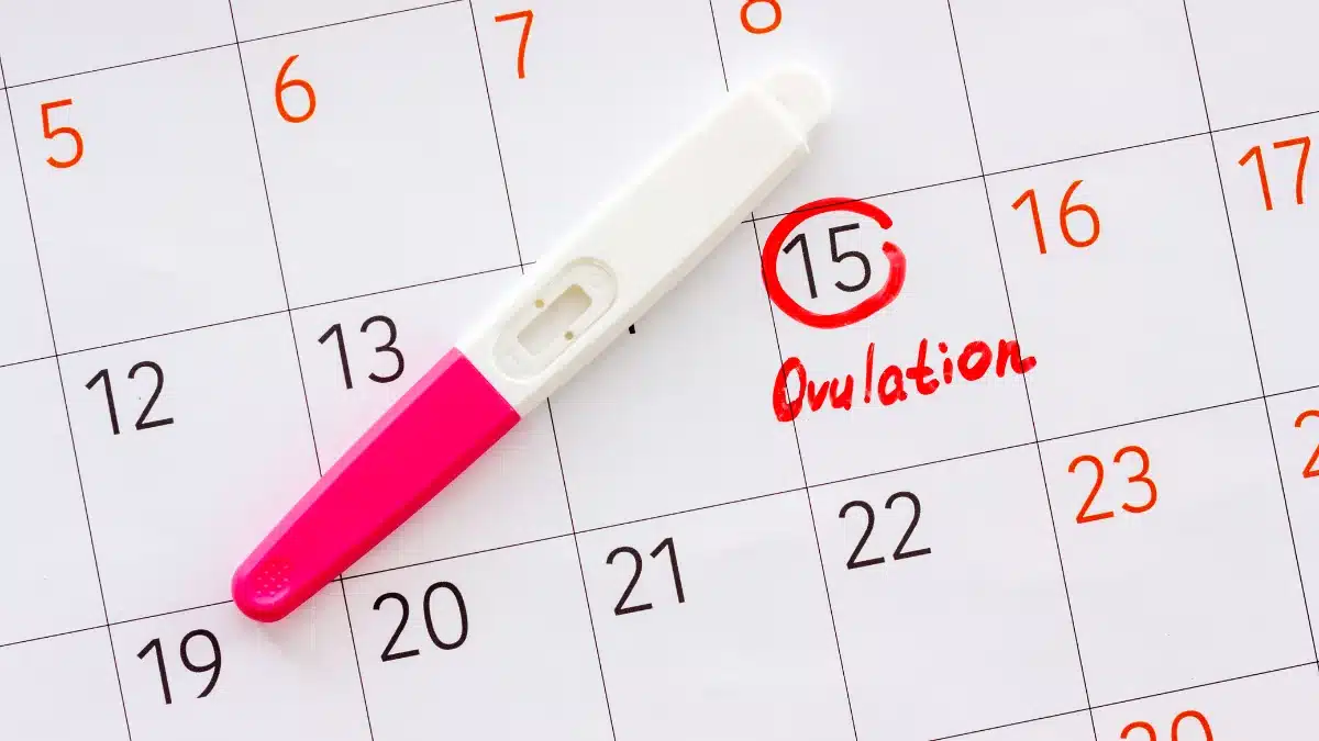 ovulation days