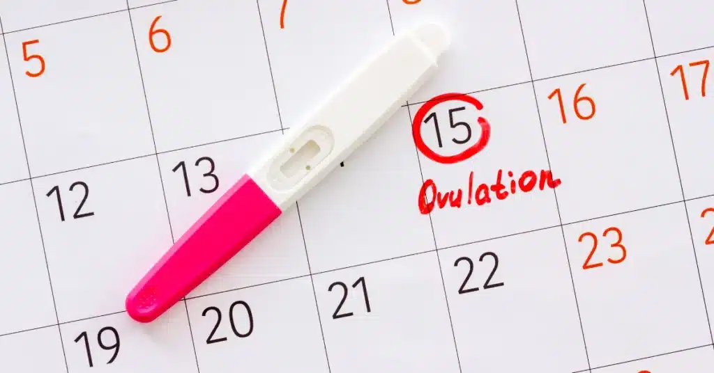 Ovulation phase