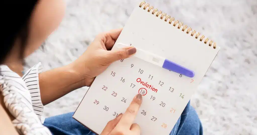 ovulation marked on calender
