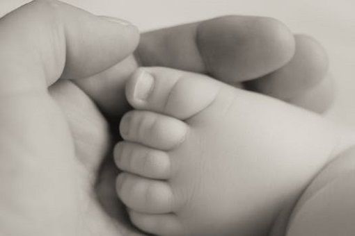Infertility Therapy Infertility Therapy