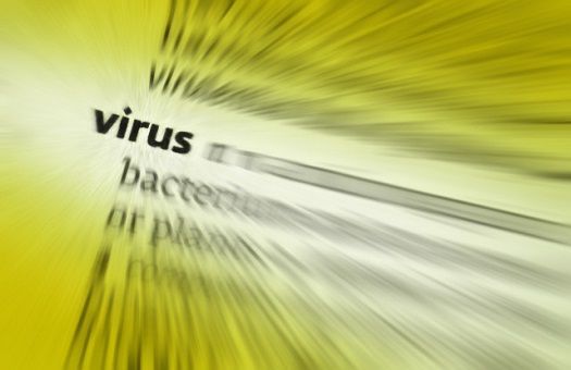 HIV & Herpes HIV & Herpes