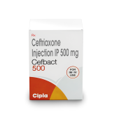 Cefbact 500 Mg Injection